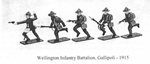Wellington-Regiment.jpg